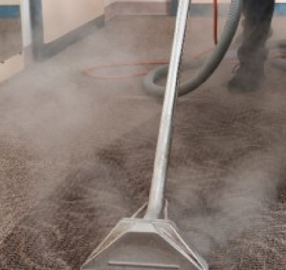 carpet steam cleaning service
