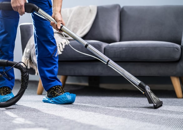 same day carpet cleaning neutral bay